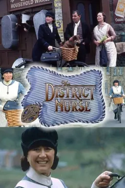 The District Nurse Season 2