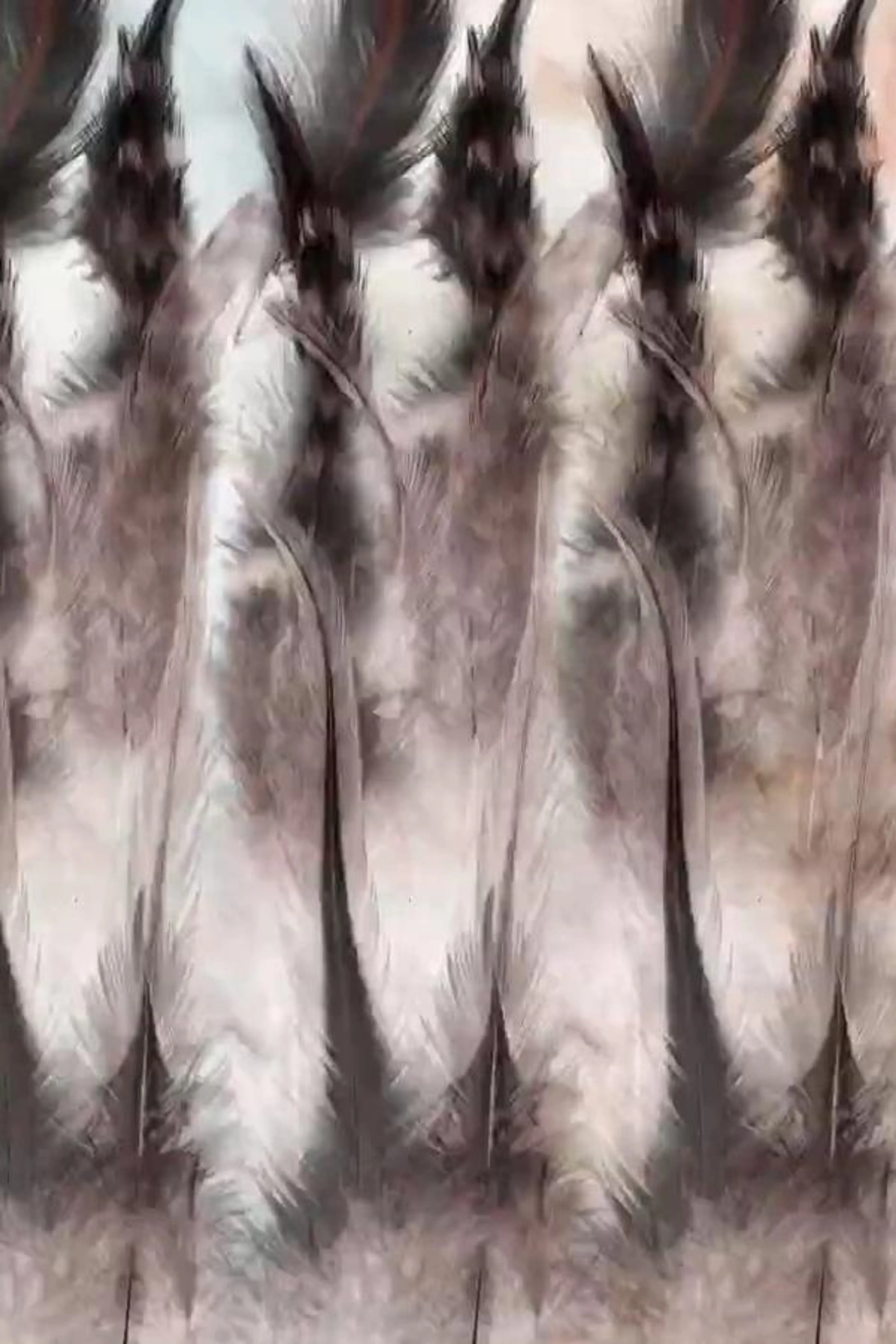 The Anatomy of a Feather