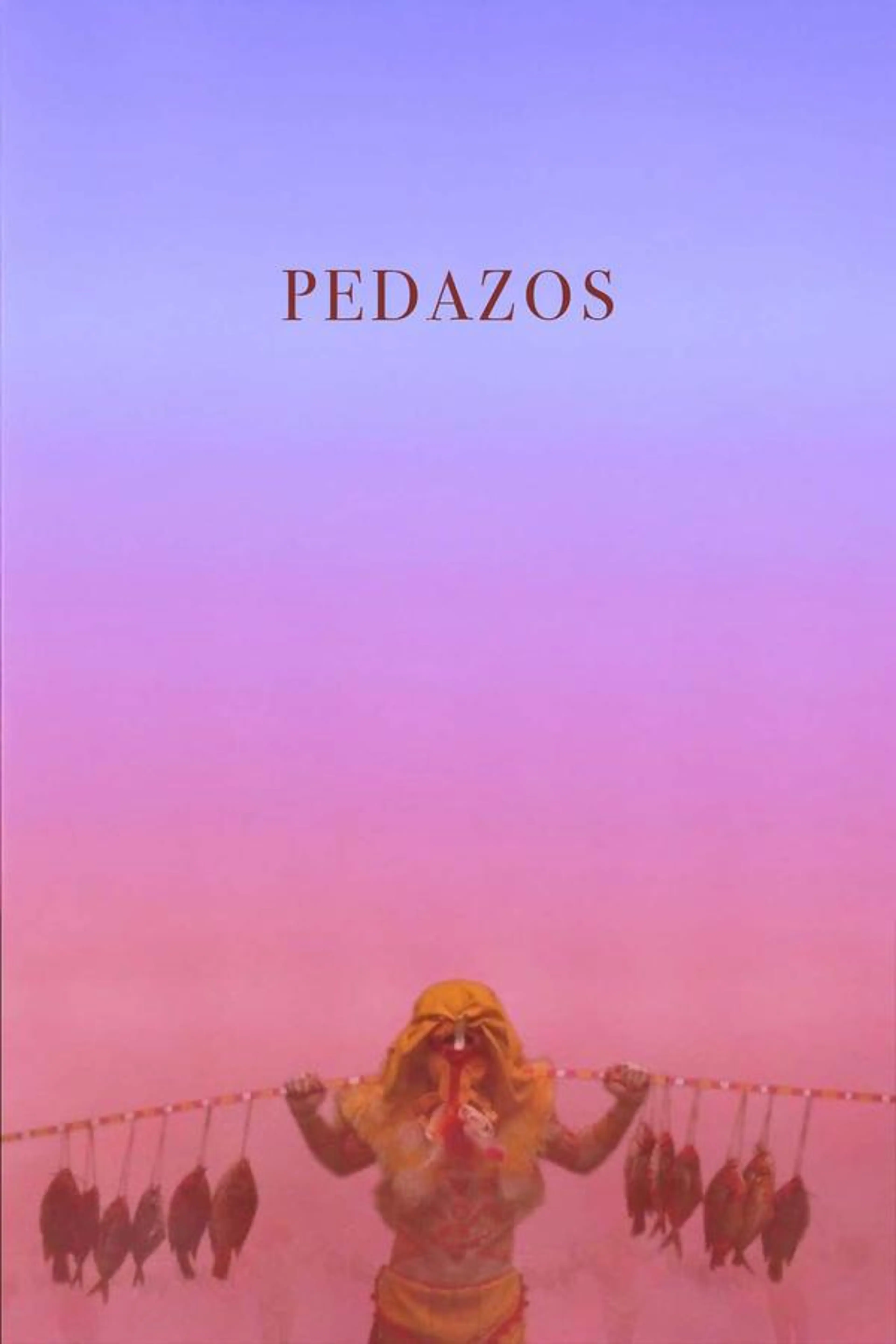 Pedazos