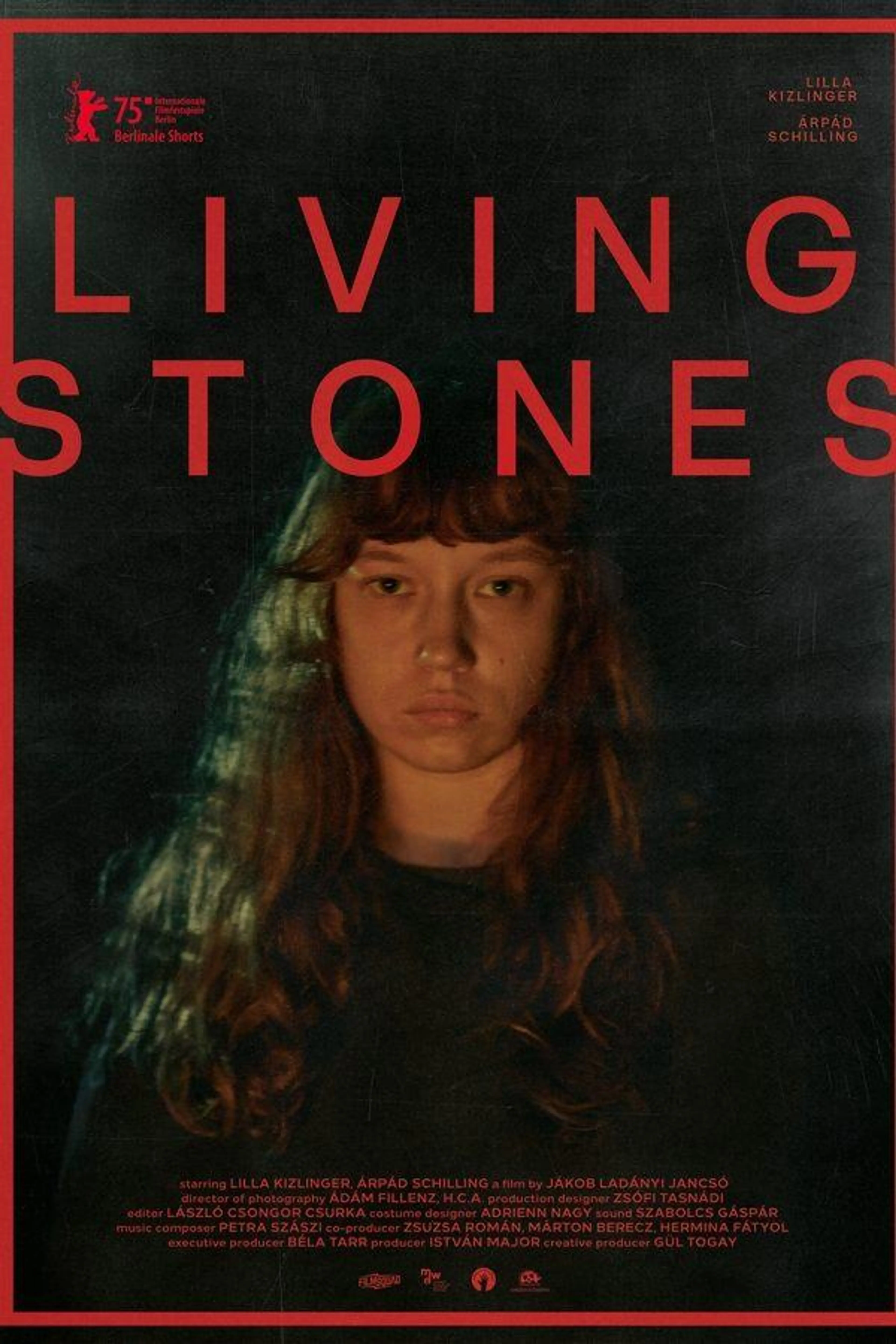 Living Stones