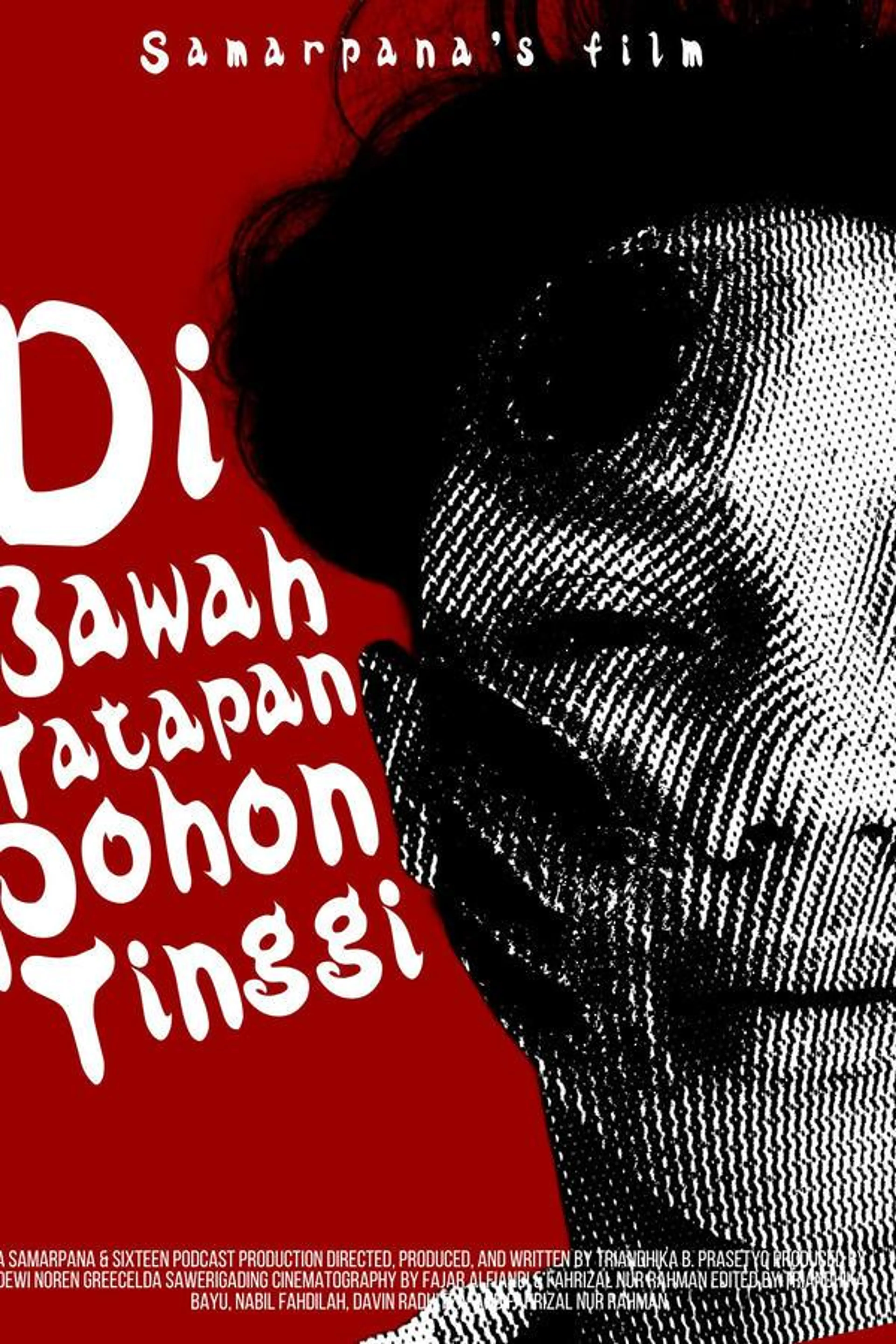 Beneath The Tall Tree's Gaze