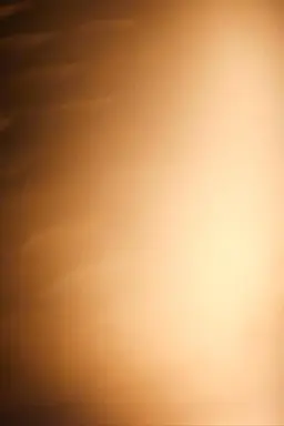 Sundara