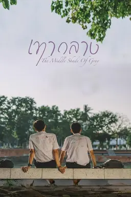 The Middle Shade of Grey