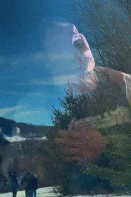 2/26/99