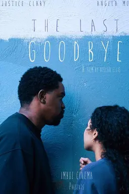 The Last Goodbye