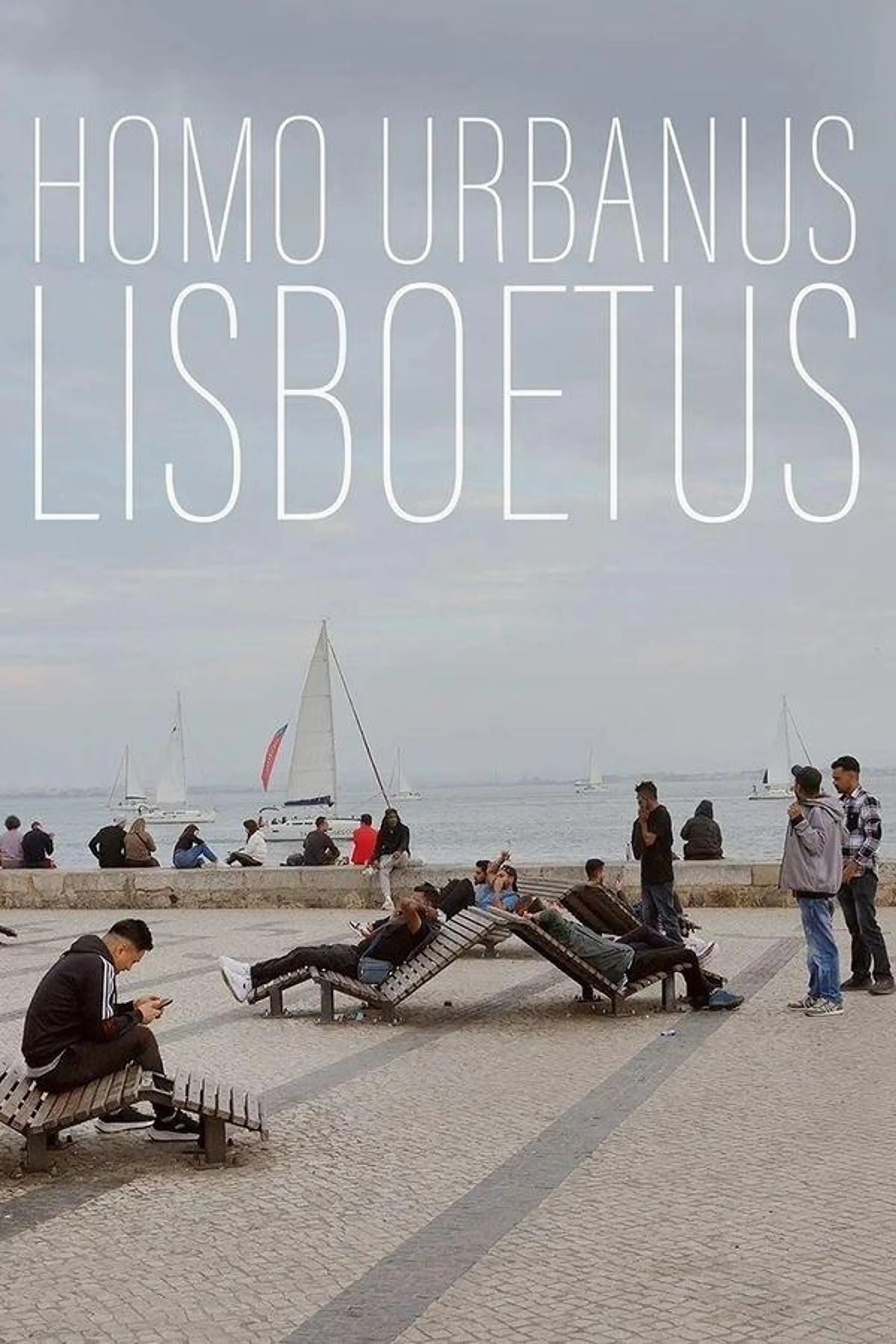 Homo Urbanus Lisboetus