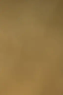 Sky Journal II [Yellow]