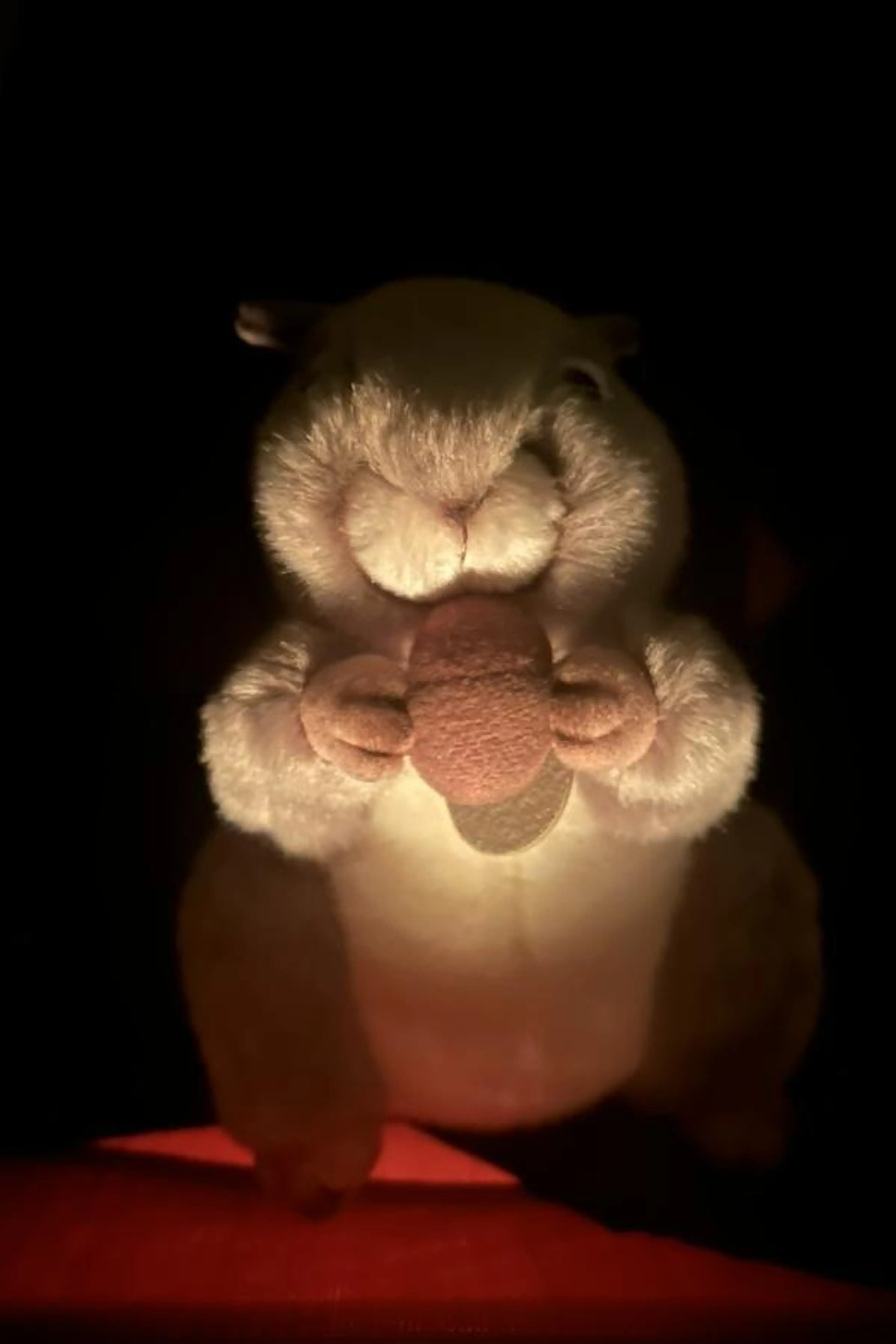 The Case of the Missing Pizza