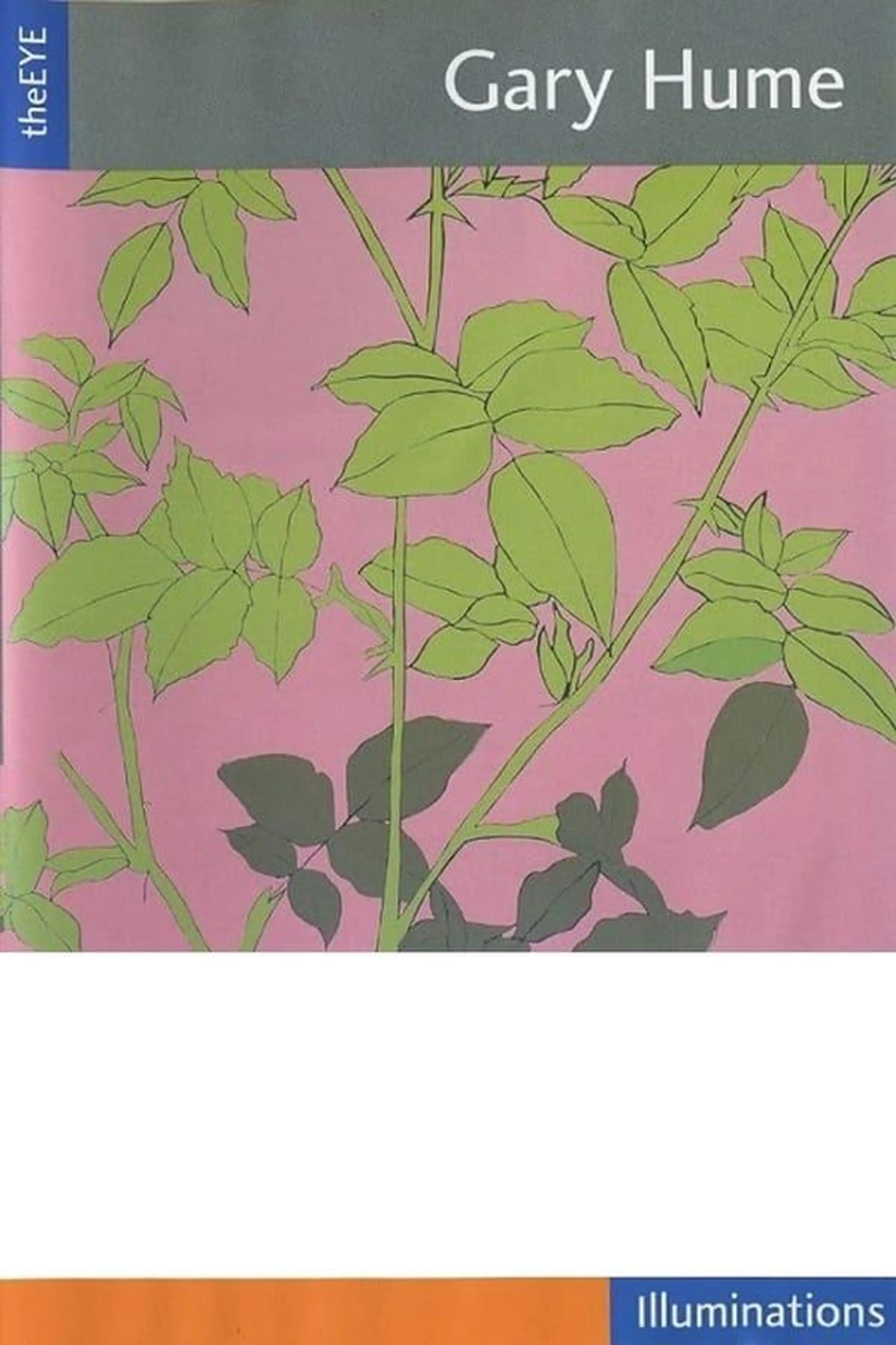 theEYE: Gary Hume