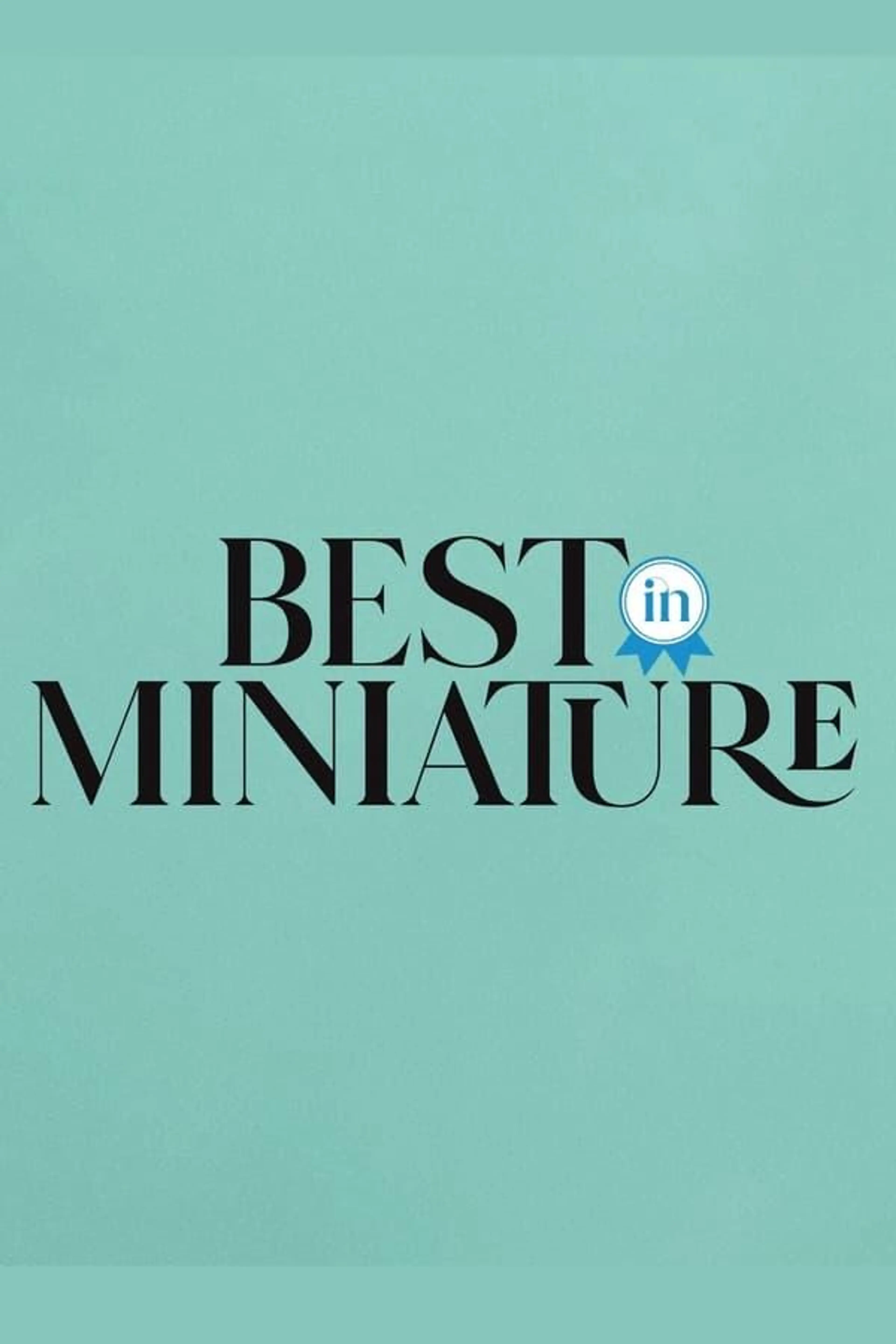 Best In Miniature Season 2