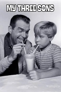 My Three Sons Season 11