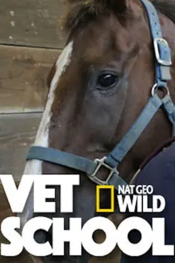 Vet School Season 1
