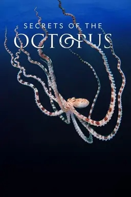 Secrets of the Octopus Miniseries