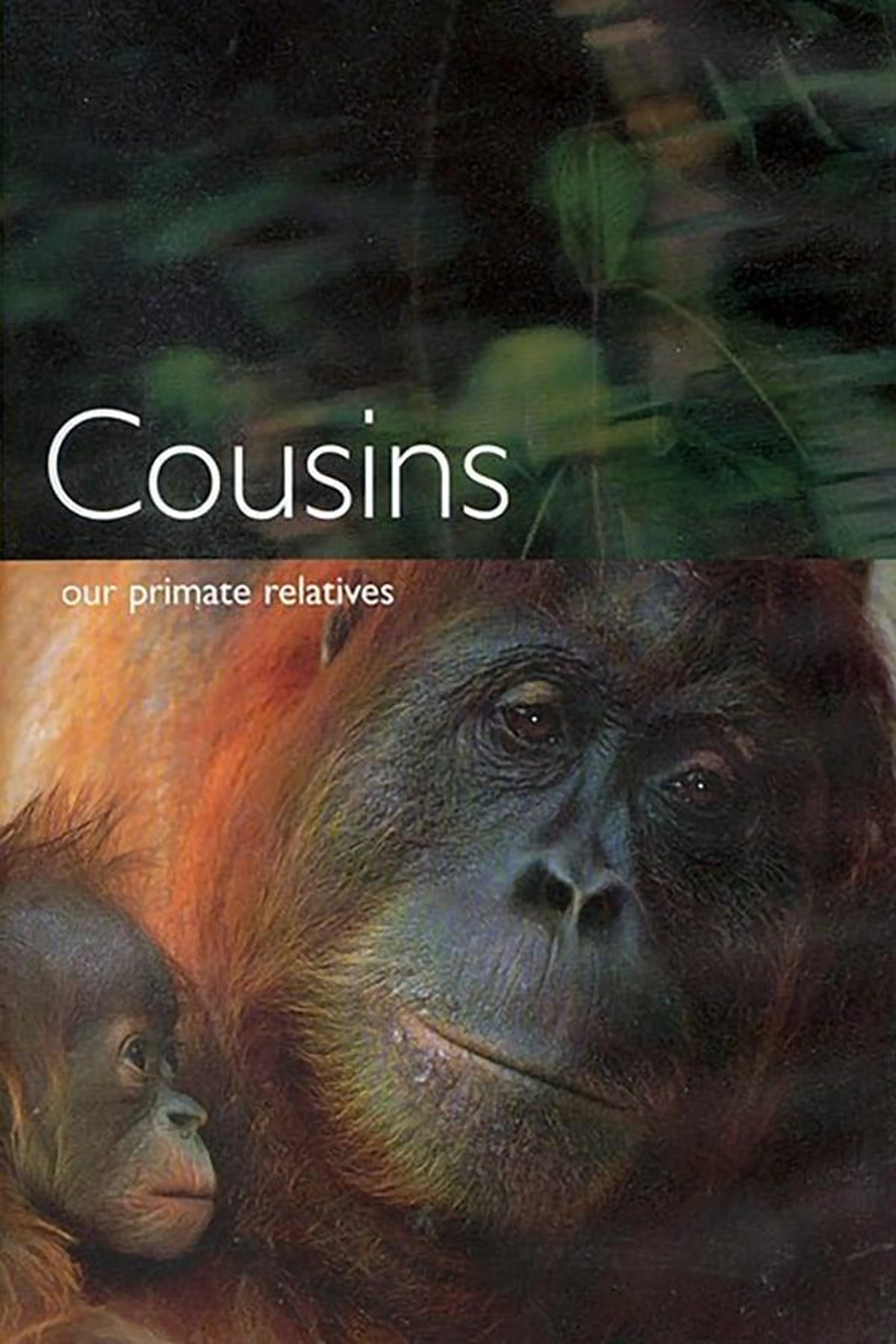 Cousins Season 1