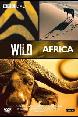 Wild Africa Specials