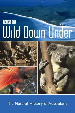Wild Down Under Specials