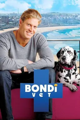 Bondi Vet Specials
