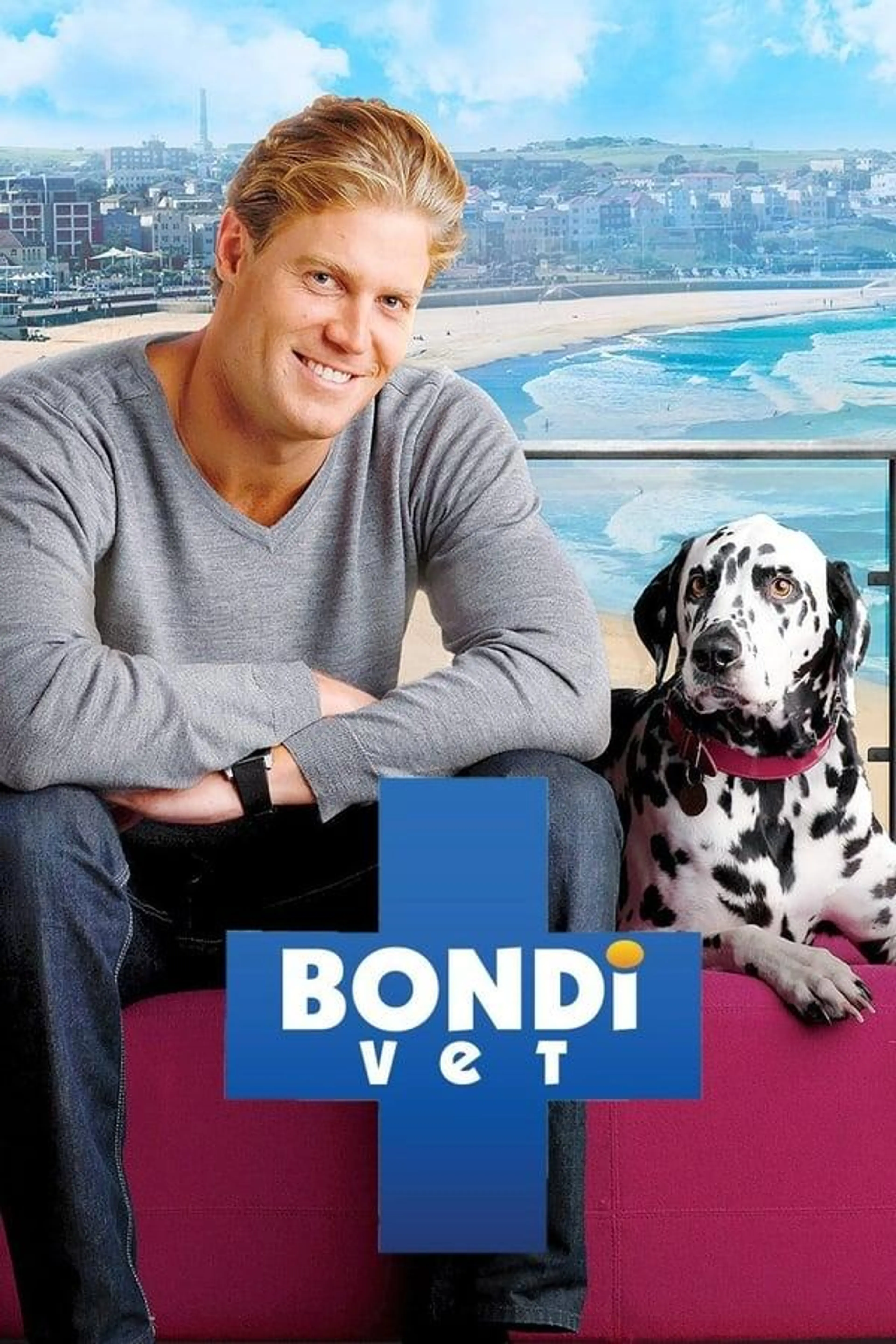 Bondi Vet Specials