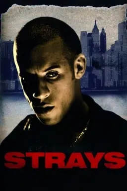 Strays