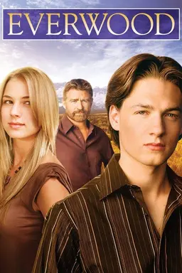 Everwood Specials