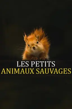 Les Petits Animaux Sauvages Season 1