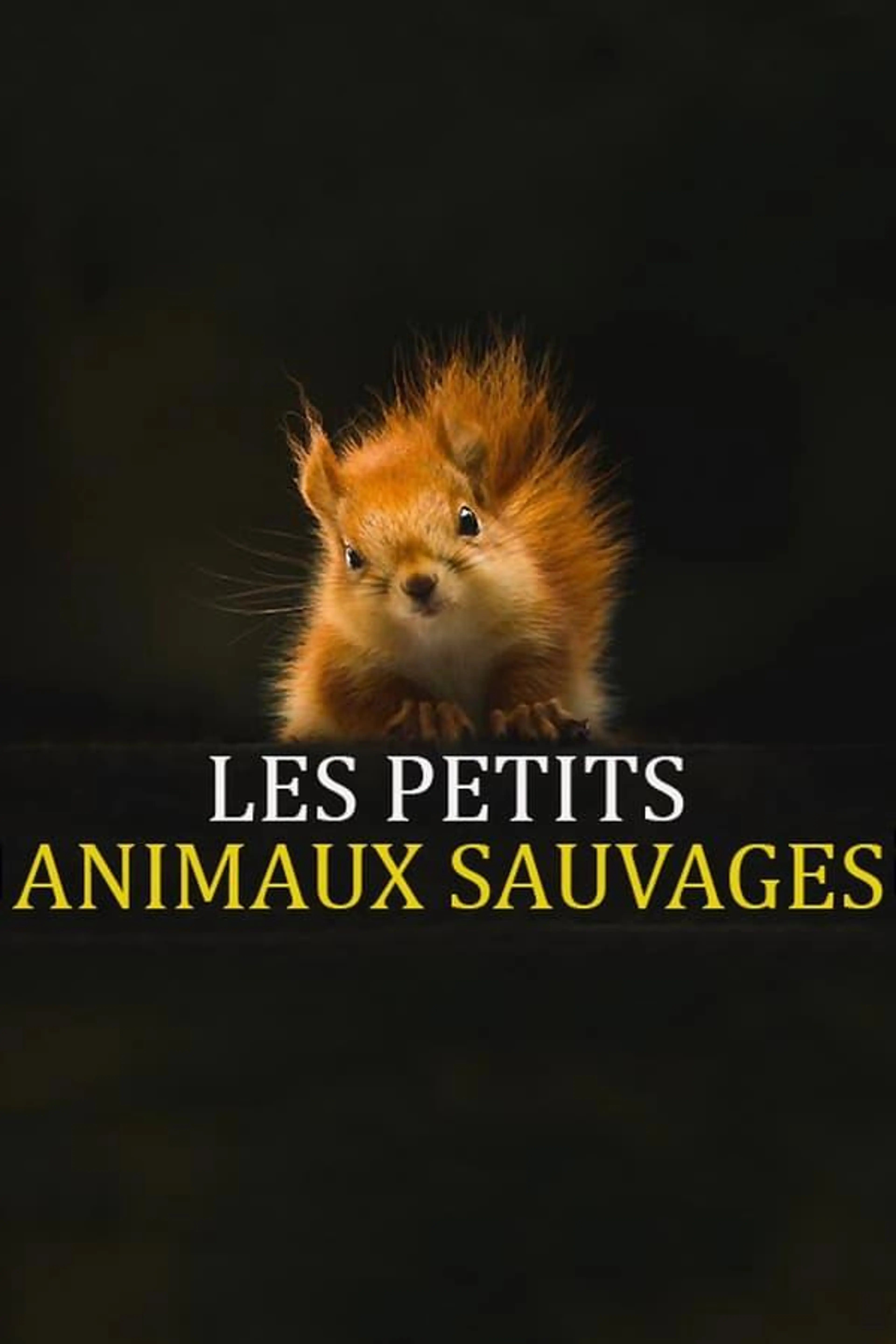 Les Petits Animaux Sauvages Season 1