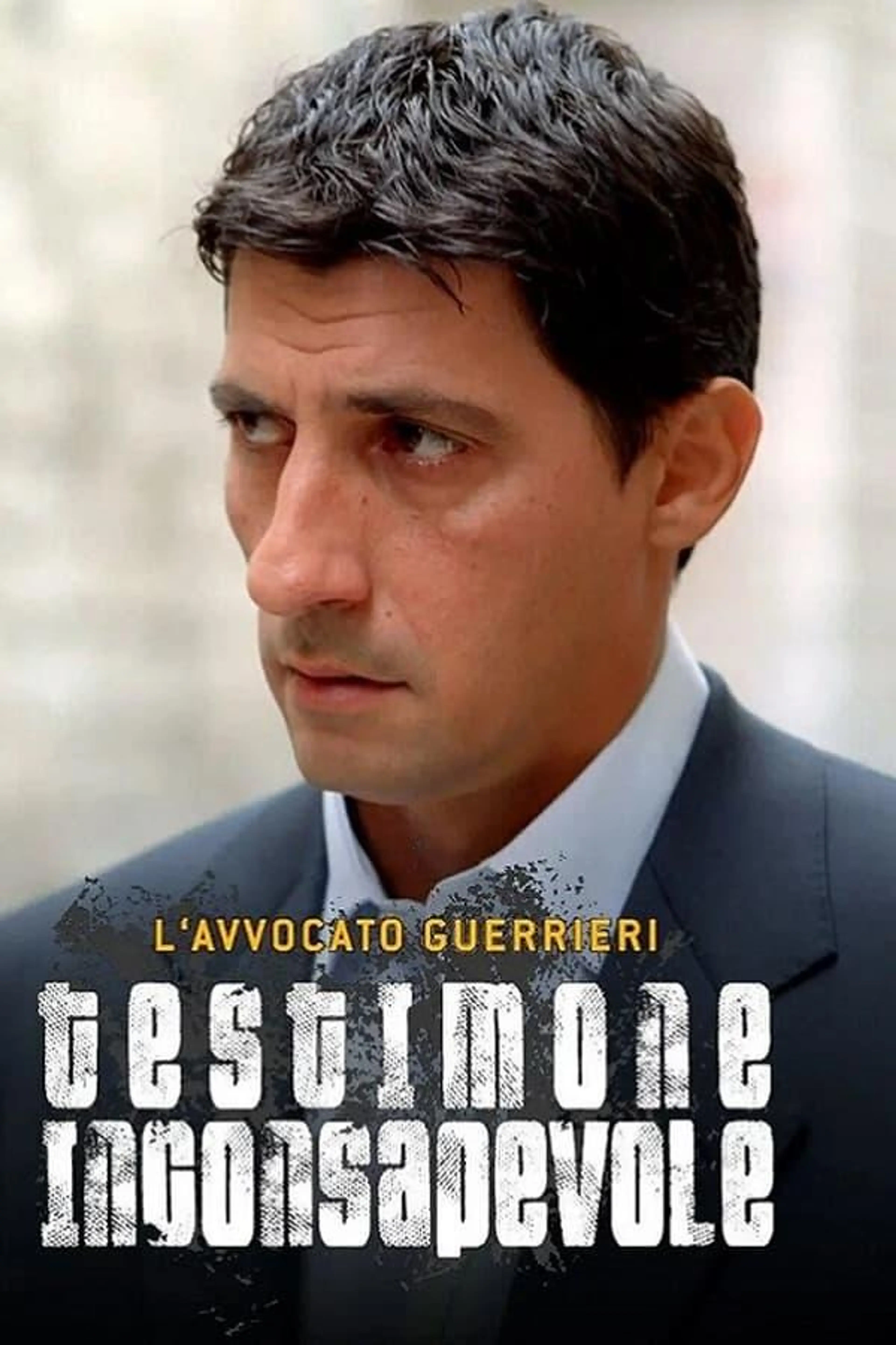 L'AVVOCATO GUERRIERI Season 1