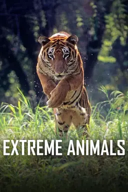 Extreme Animals Season 1