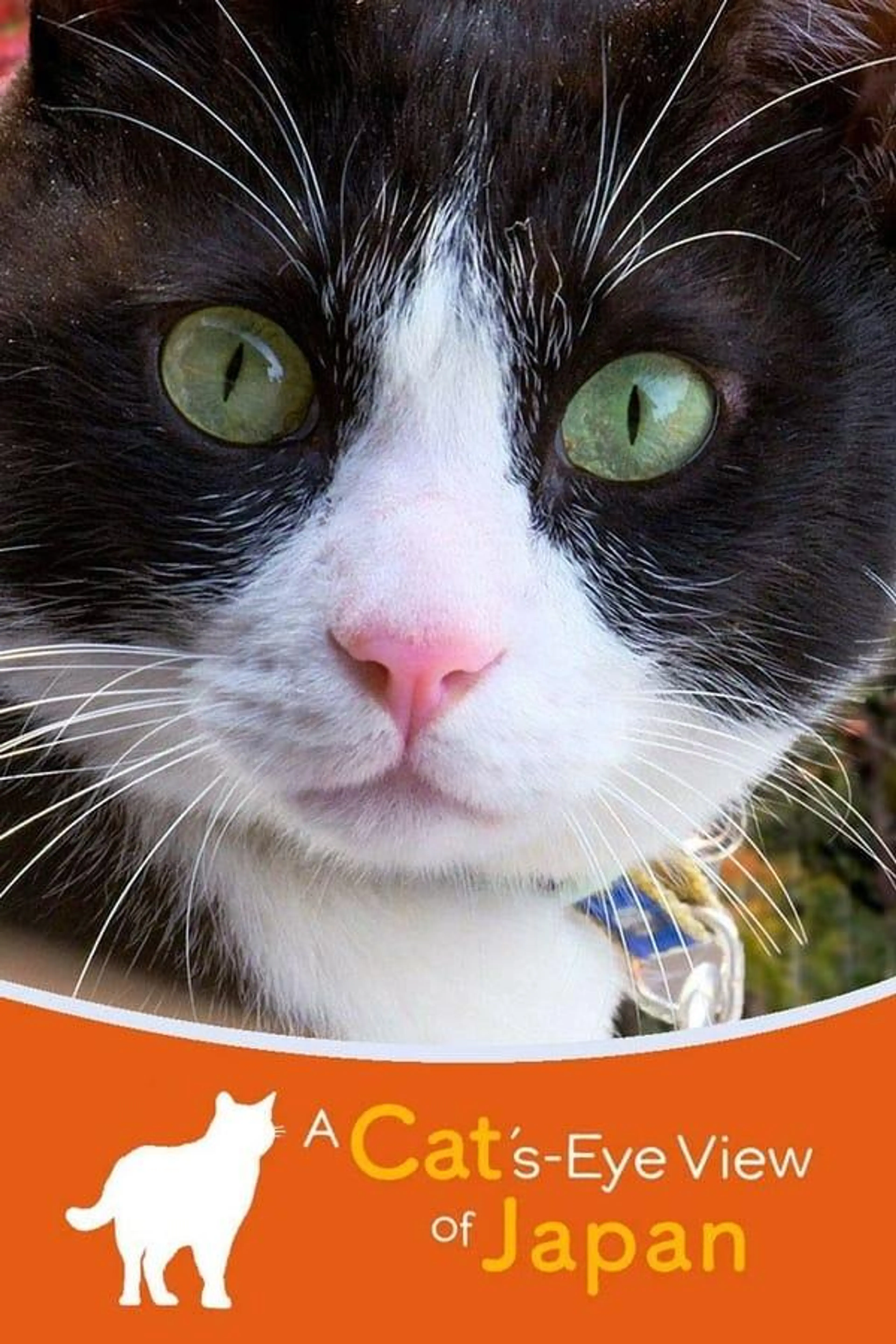 A Cat's-Eye View of Japan Season 2