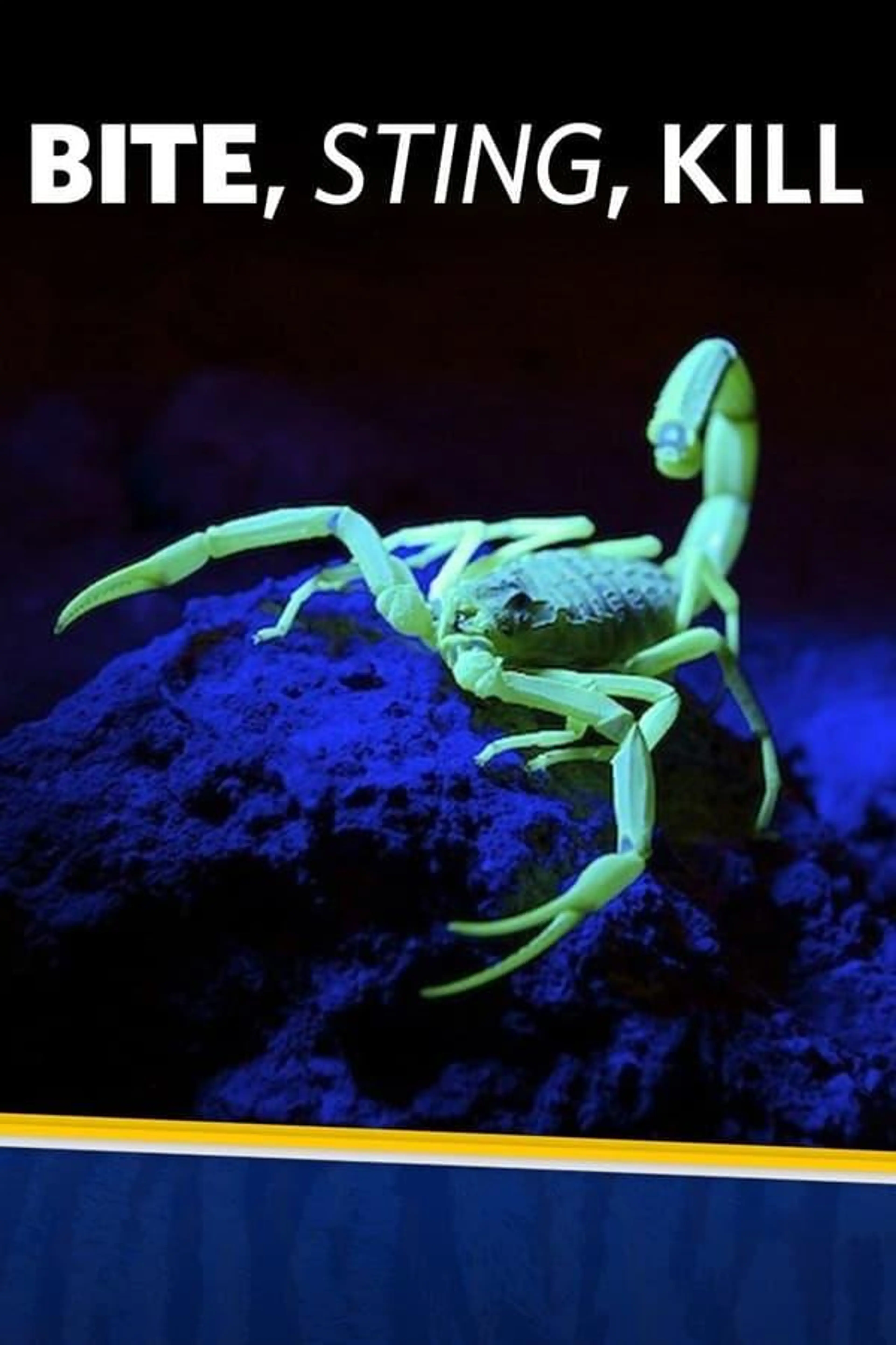 Bite, Sting, Kill Season 1