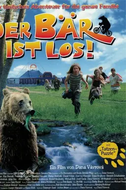 Bear on the Run