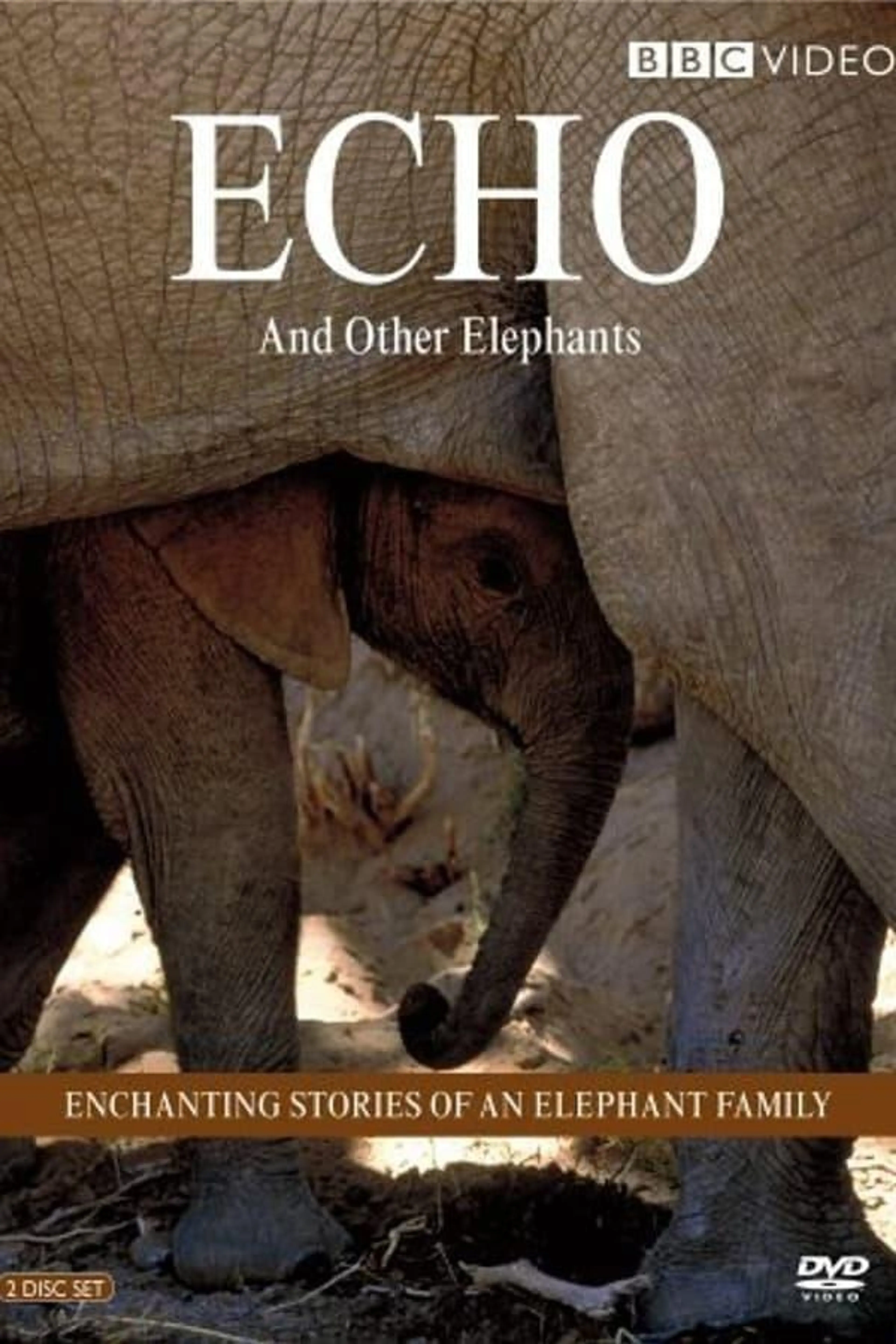 Echo of the Elephants Season 1