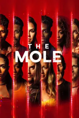The Mole Season 2