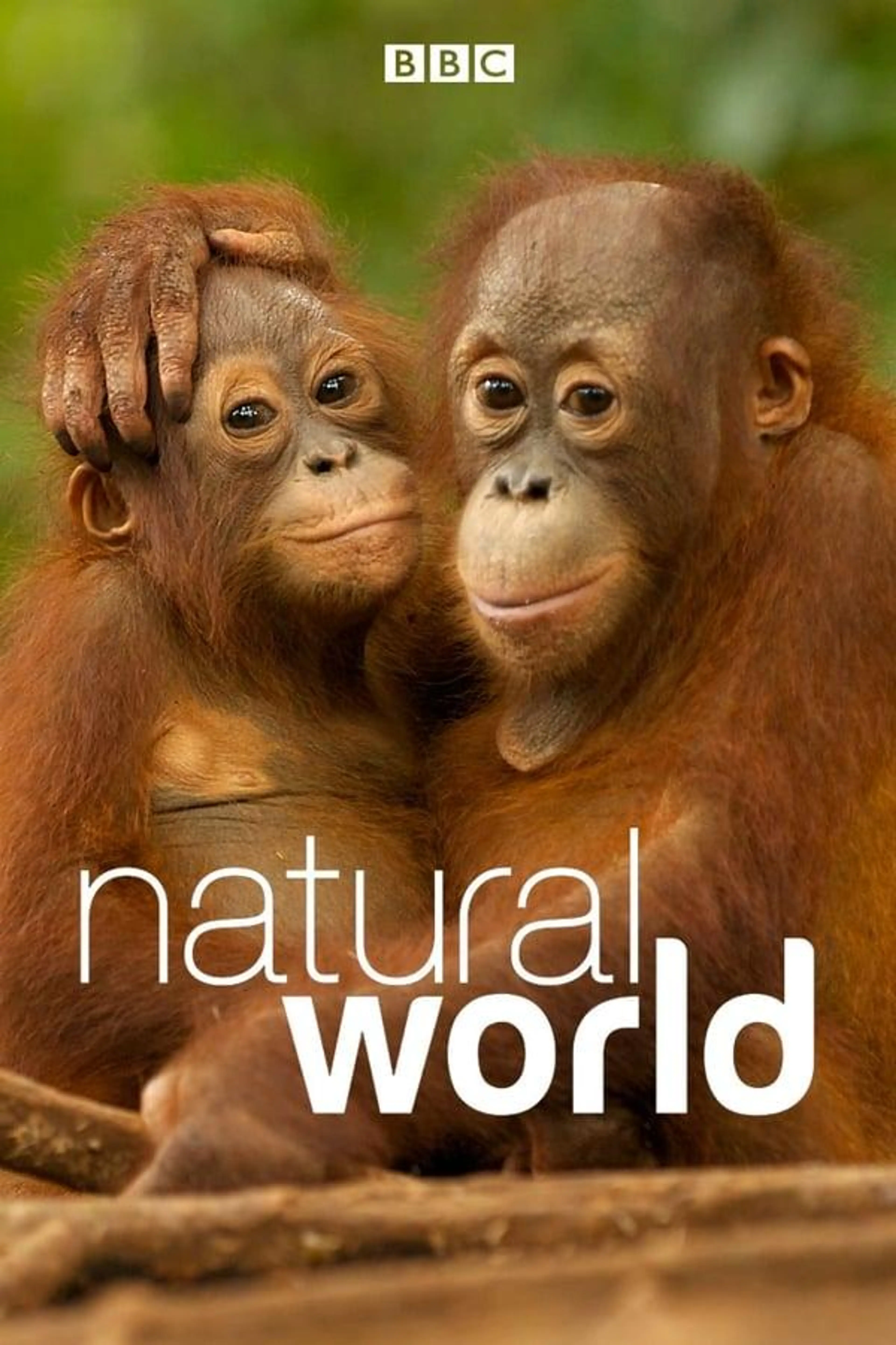 Natural World Specials