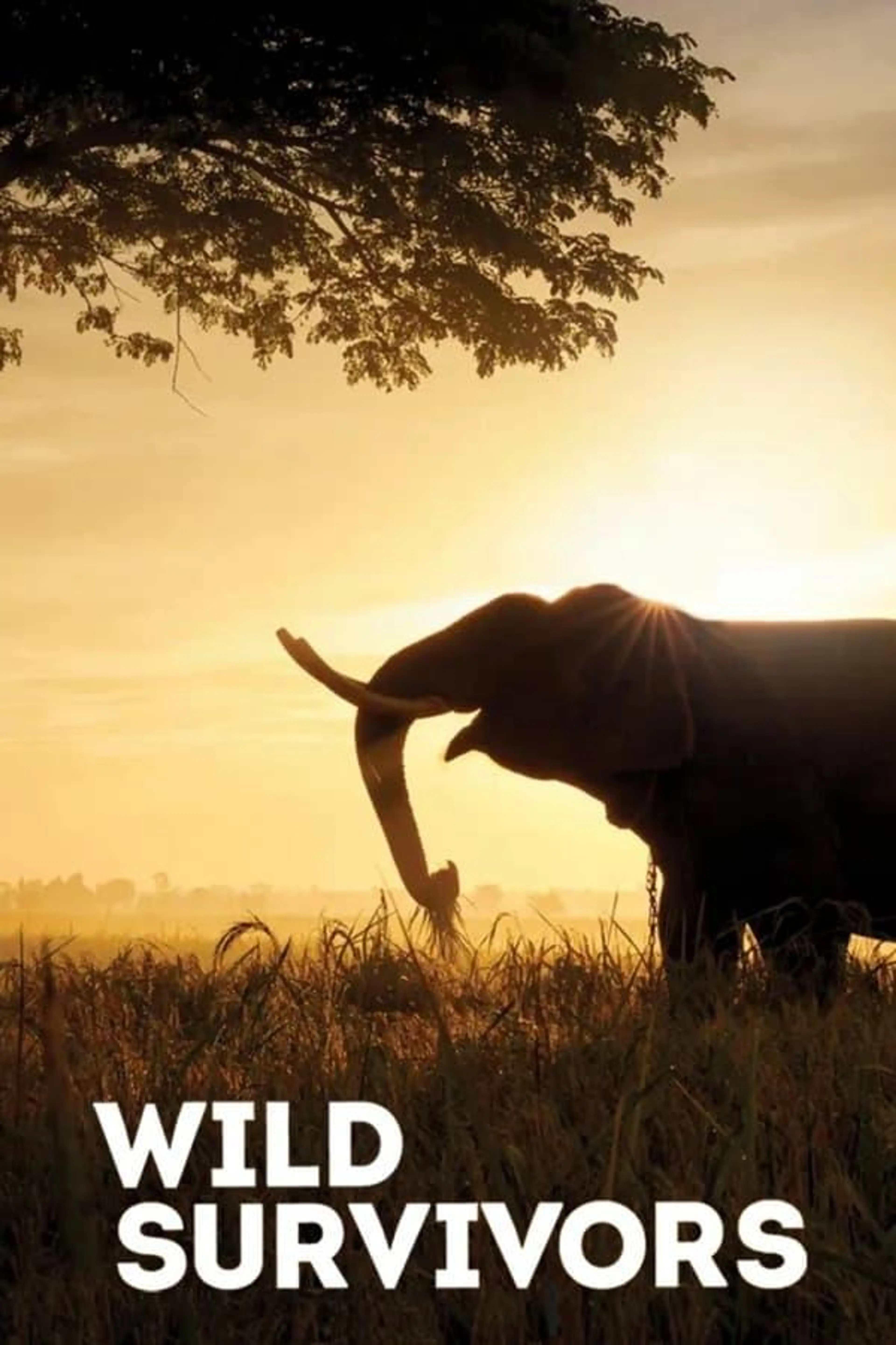Wild Survivors Season 1