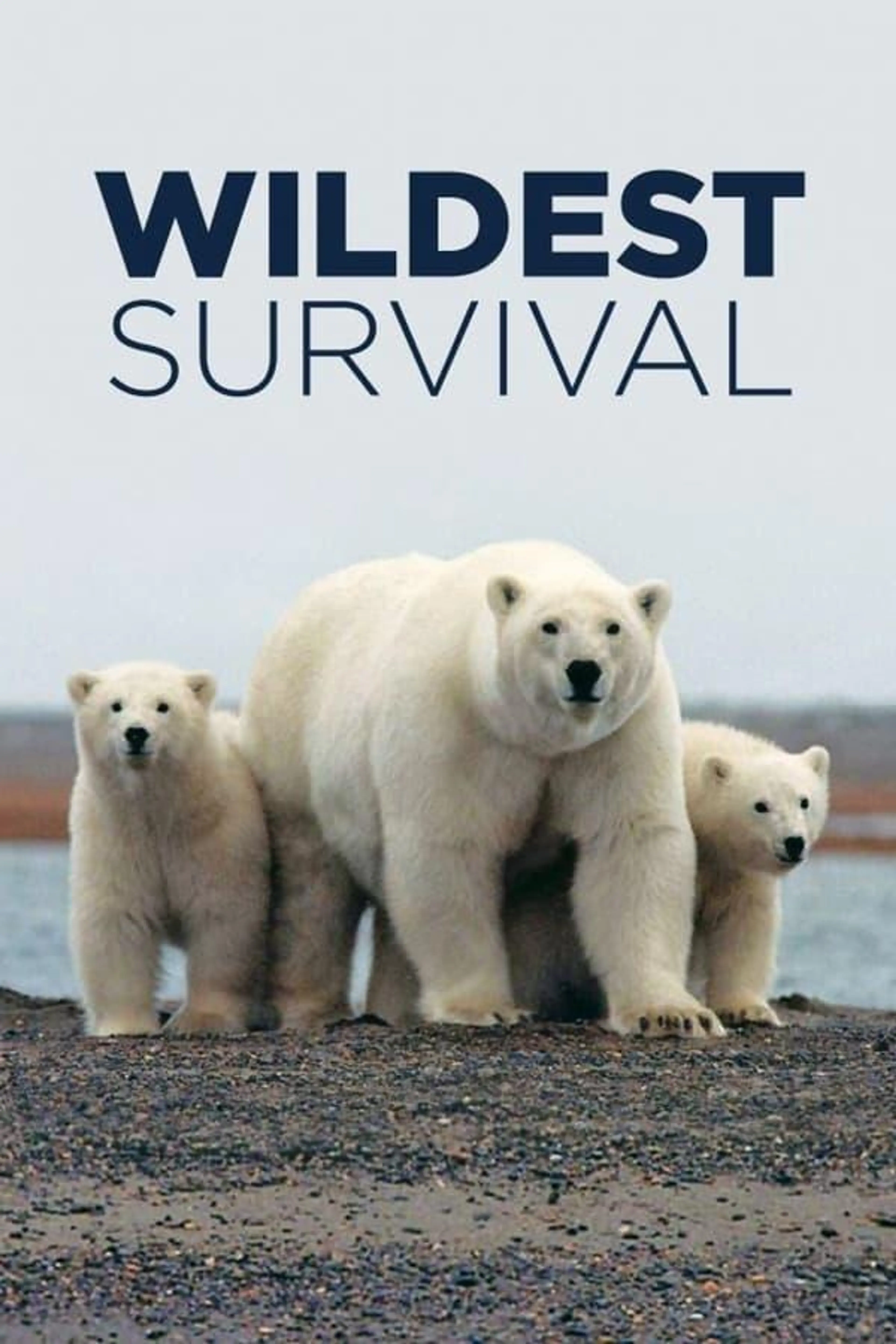 Wildest Survival Season 2