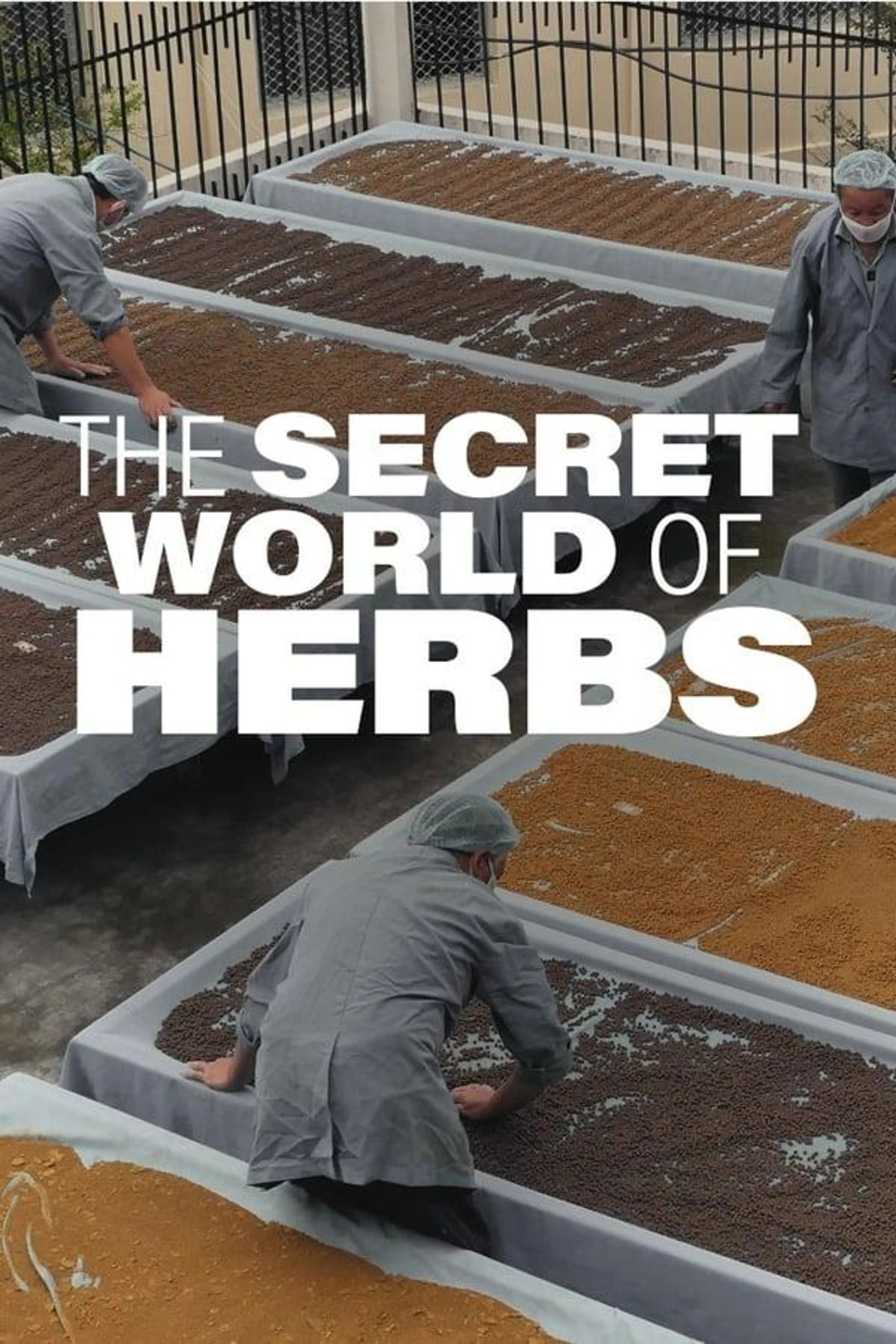 The Secret World of Herbs Season 1