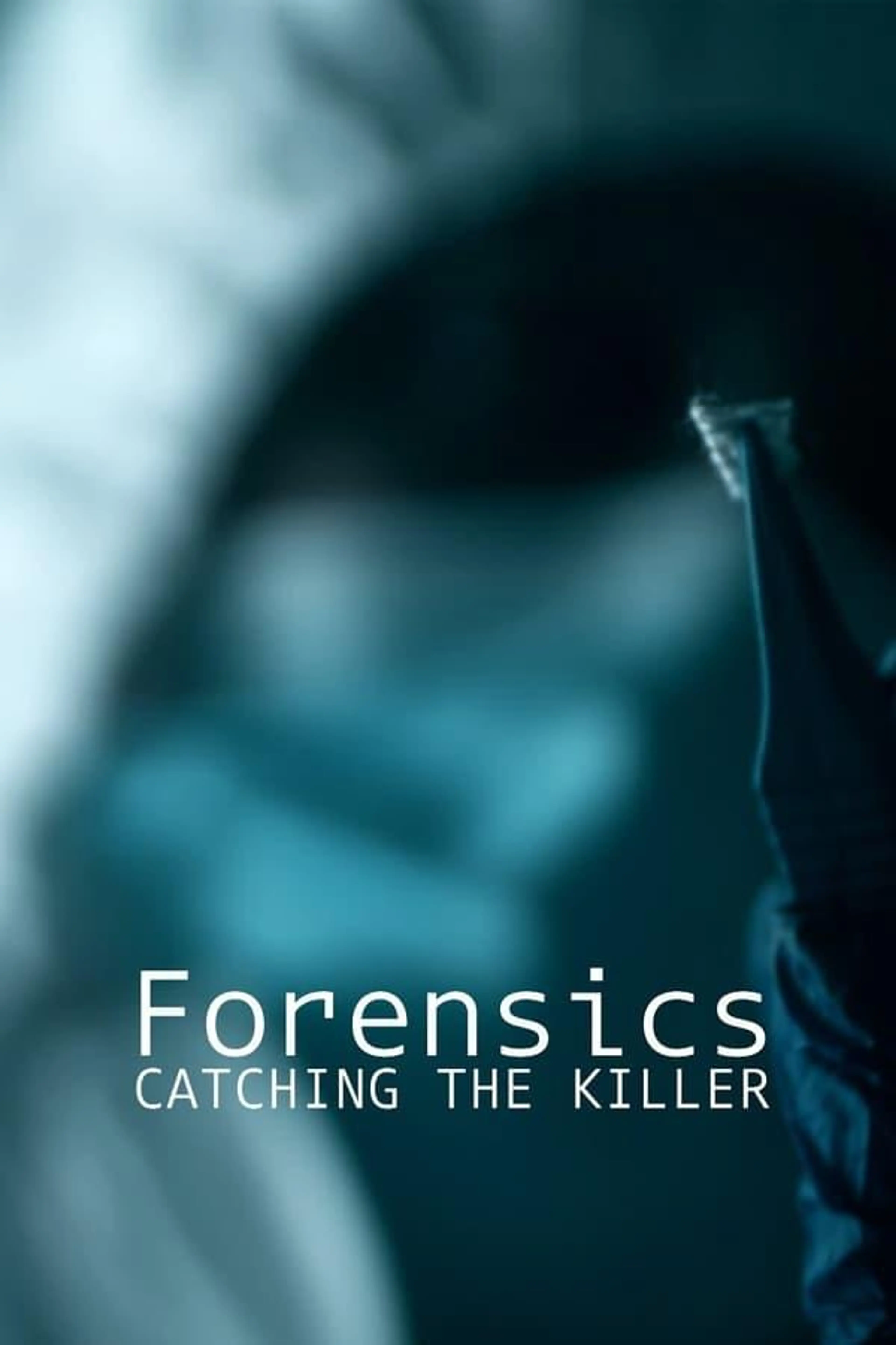 Forensics: Catching the Killer Season 4