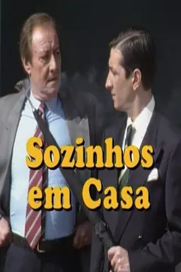Sozinhos em Casa Season 2