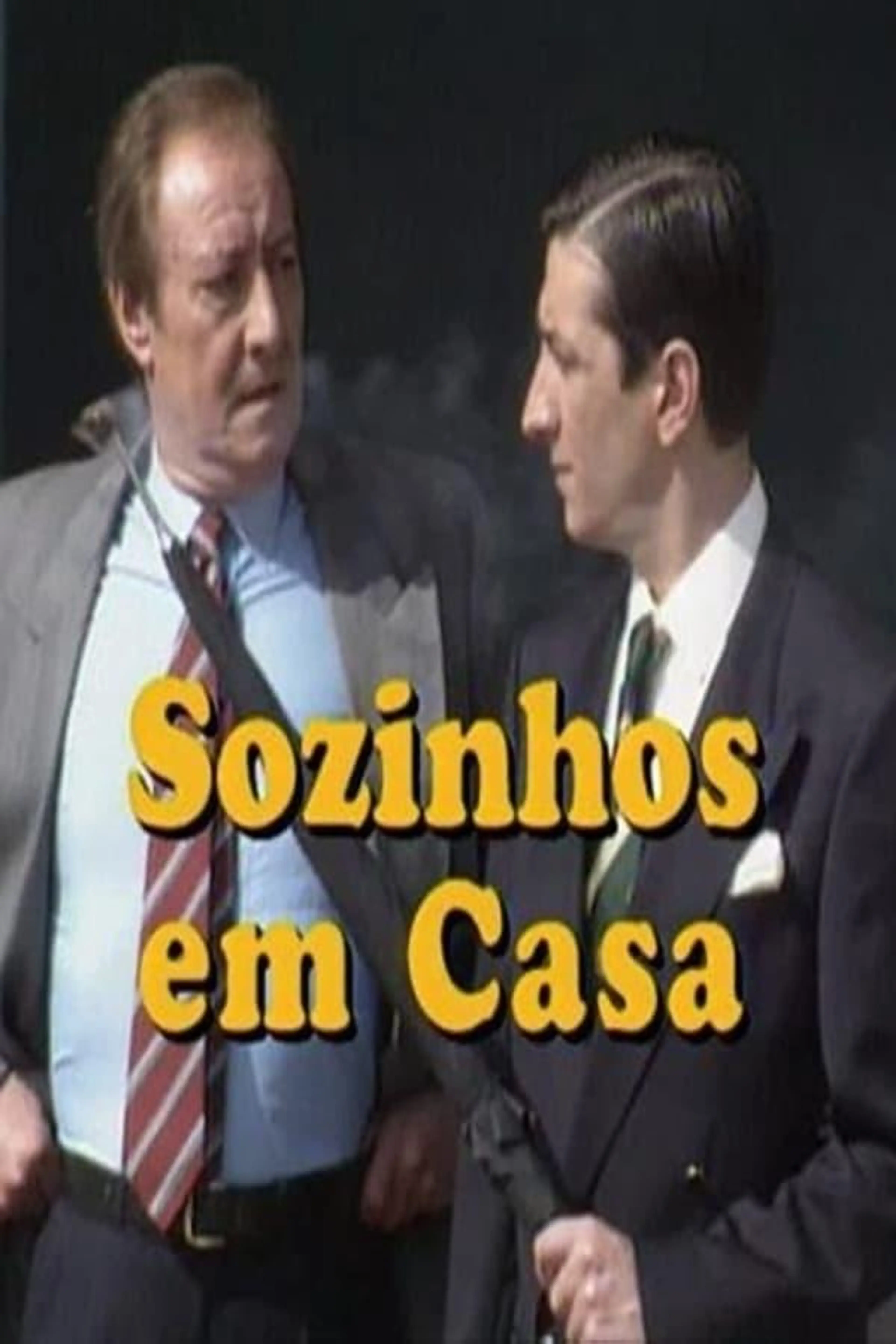 Sozinhos em Casa Season 2