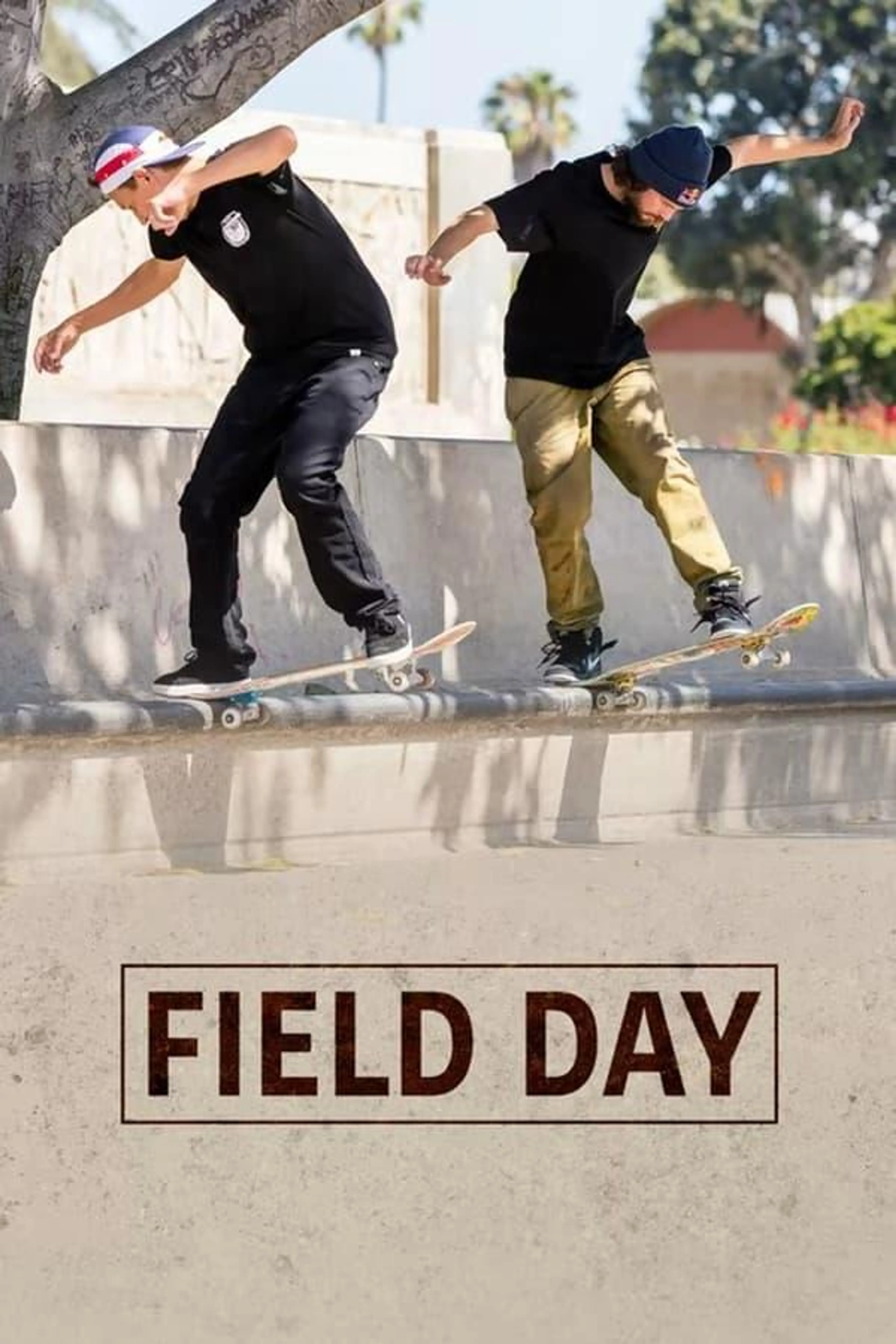 Field Day Season 2