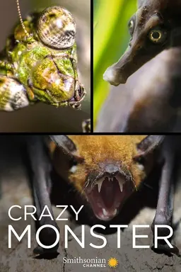 Crazy Monster Season 1