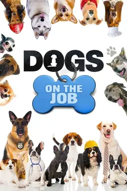 Dogs On the Job Season 1