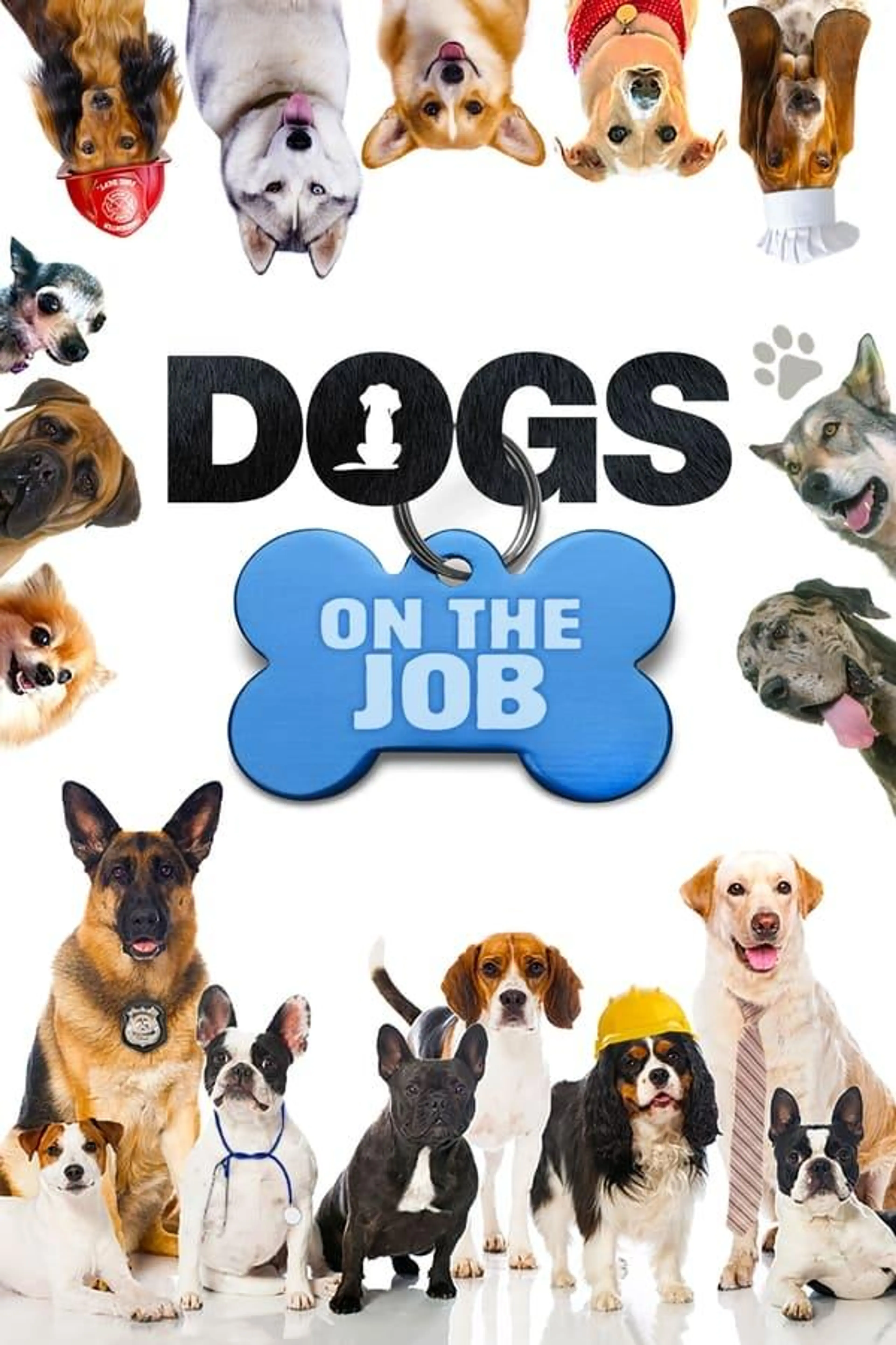Dogs On the Job Season 1