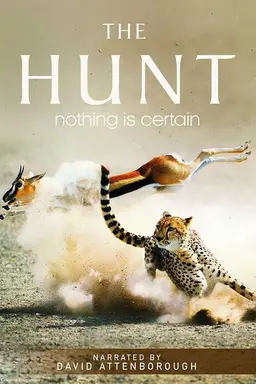 David Attenborough: The Hunt Season 2