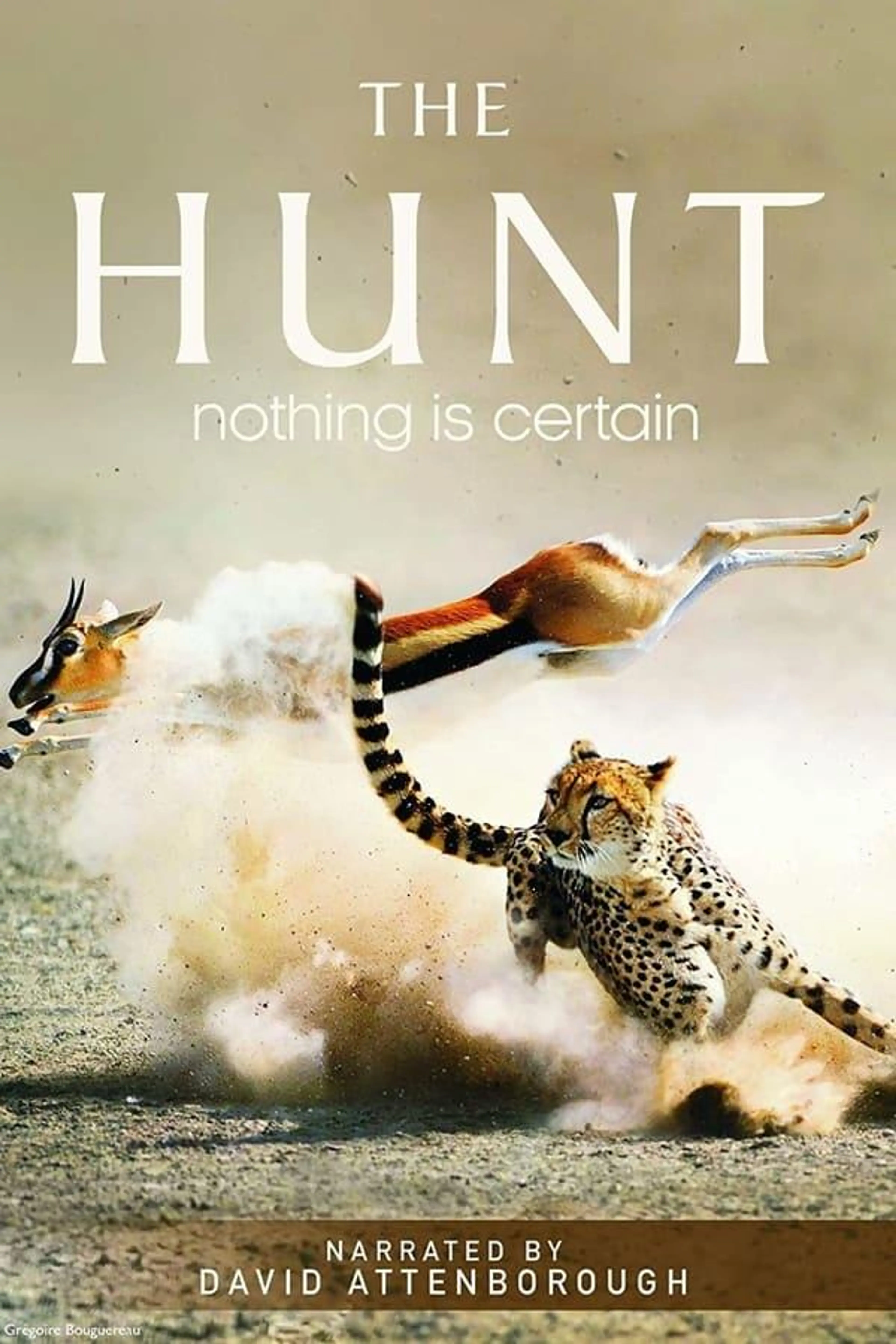 David Attenborough: The Hunt Season 2