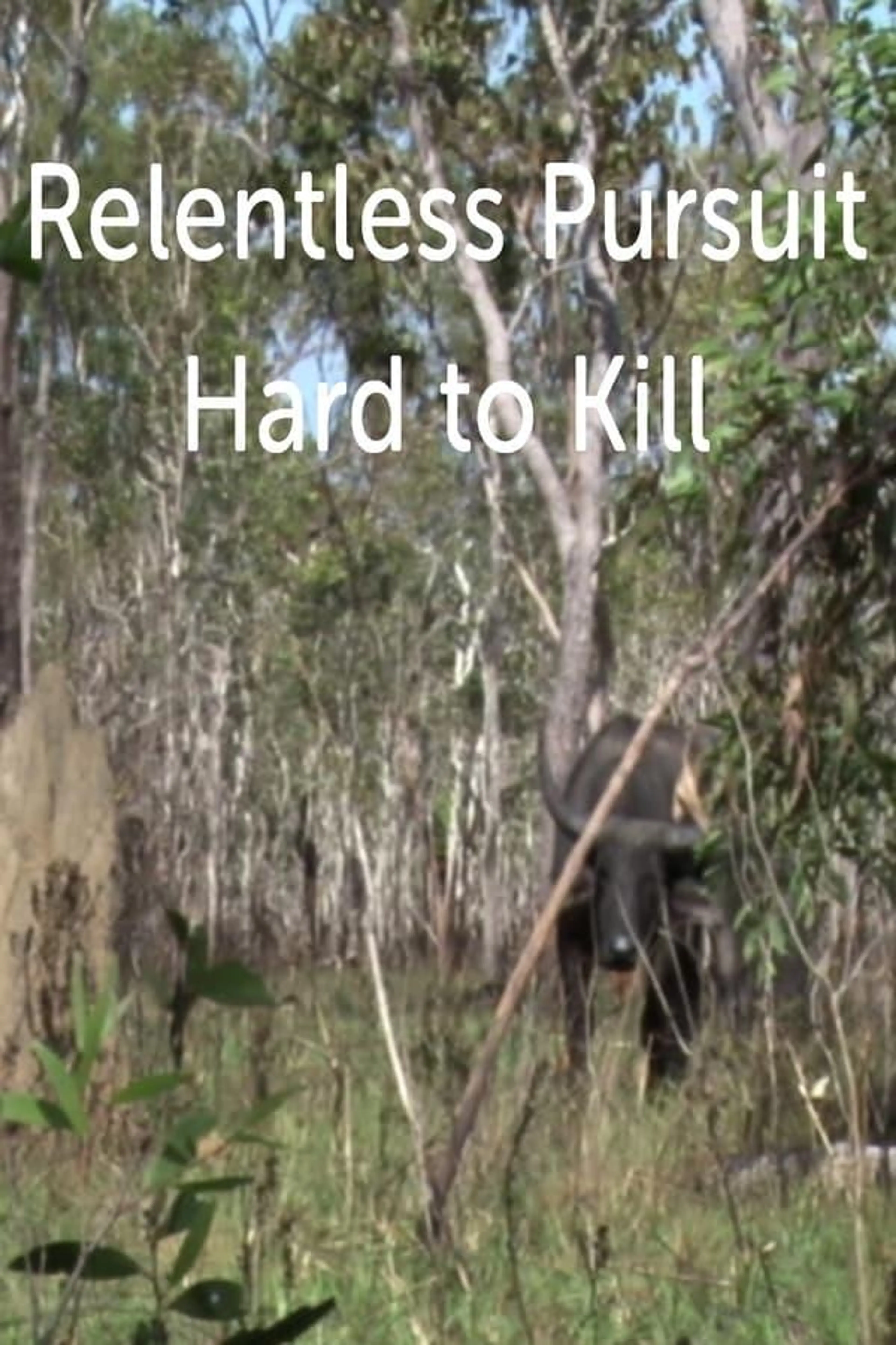 Hard To Kill Season 1