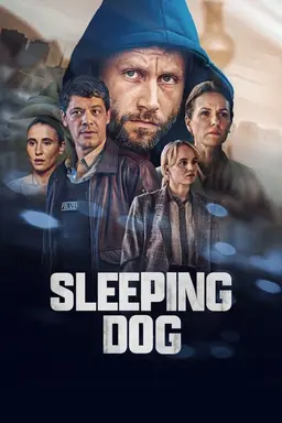 Sleeping Dog Limited Series