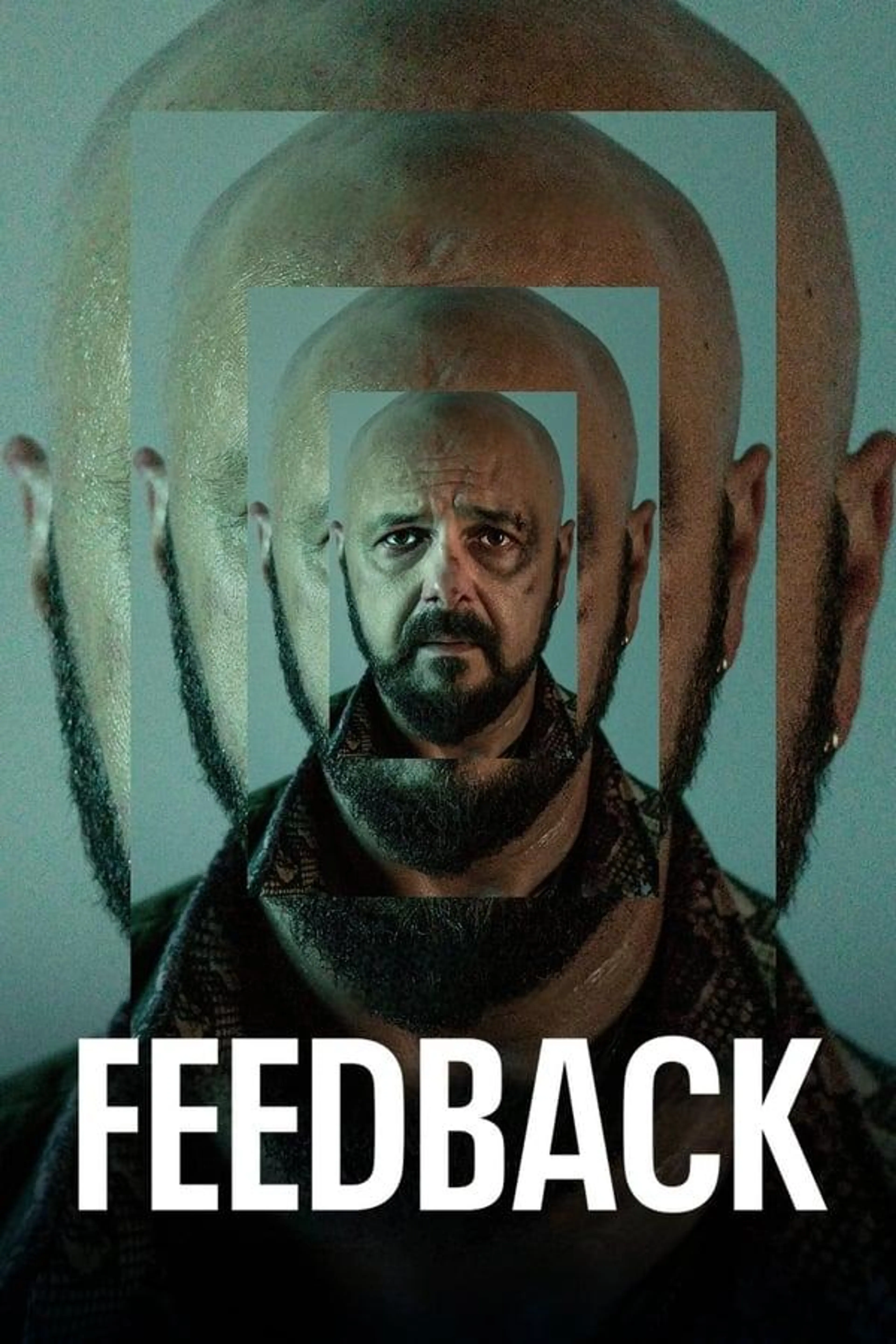 Feedback Miniseries
