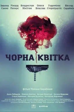 Black flower Season 1